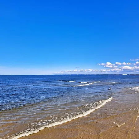 Bradler 塞巴特黑灵斯多夫