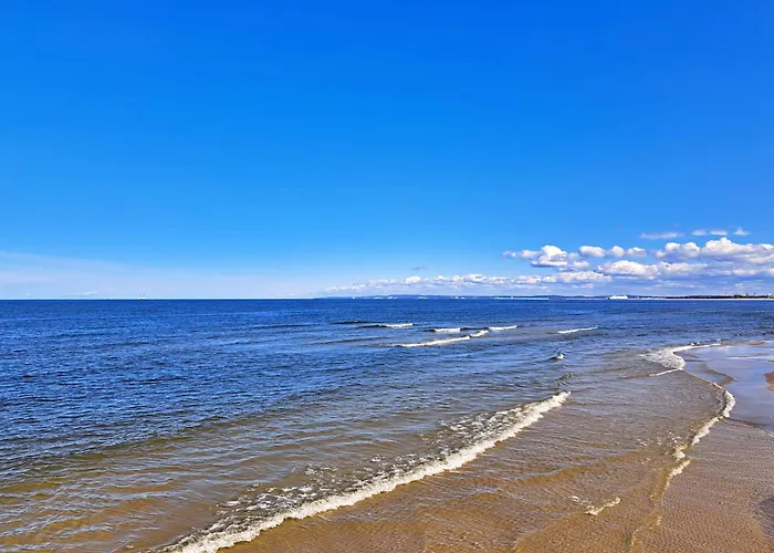 Bradler 塞巴特黑灵斯多夫